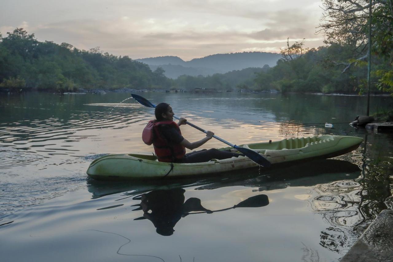 Whistling Woodzs Resort Dandeli Bagian luar foto