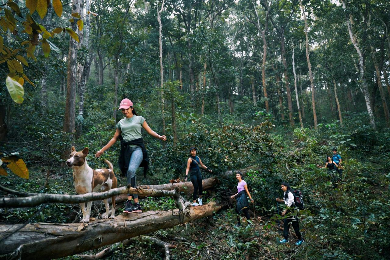 Whistling Woodzs Resort Dandeli Bagian luar foto